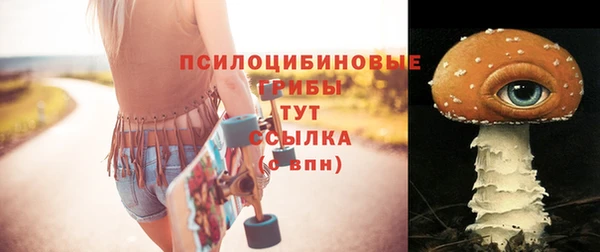 крисы Алапаевск
