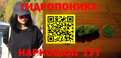 ПСИЛОЦИБИНОВЫЕ ГРИБЫ Свободный