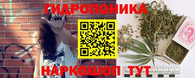 ПСИЛОЦИБИНОВЫЕ ГРИБЫ Свободный