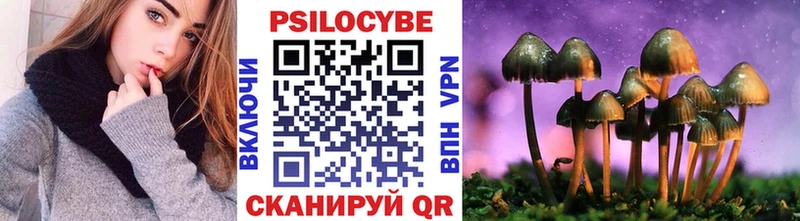 что такое   Северобайкальск  Галлюциногенные грибы Cubensis 