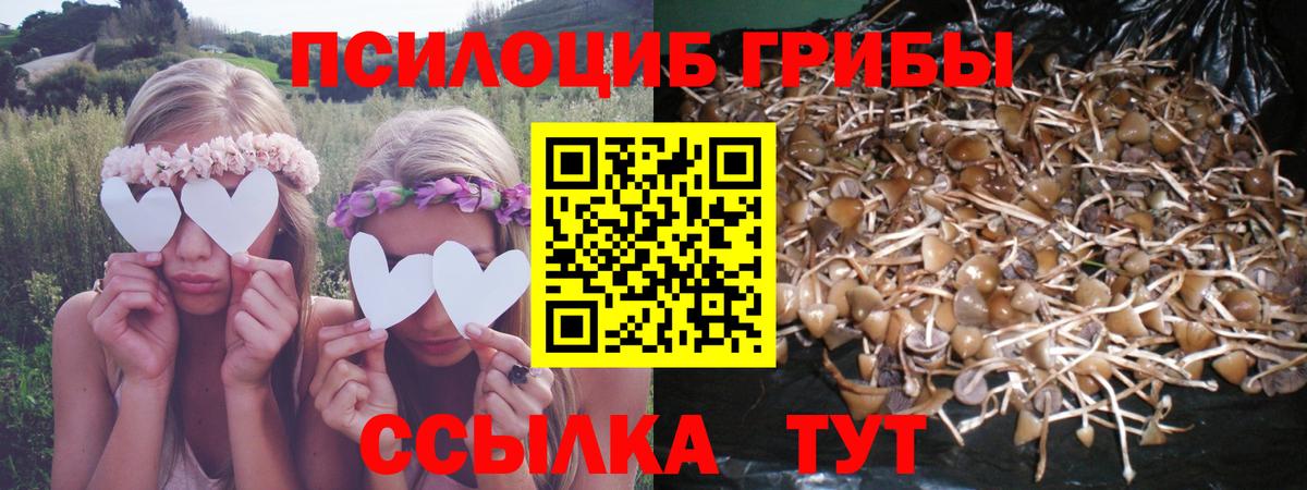 Галлюциногенные грибы мухоморы Северобайкальск