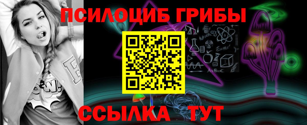 Галлюциногенные грибы MAGIC MUSHROOMS  Псилоцибиновые грибы MAGIC MUSHROOMS  Вход с VPN  Северобайкальск 